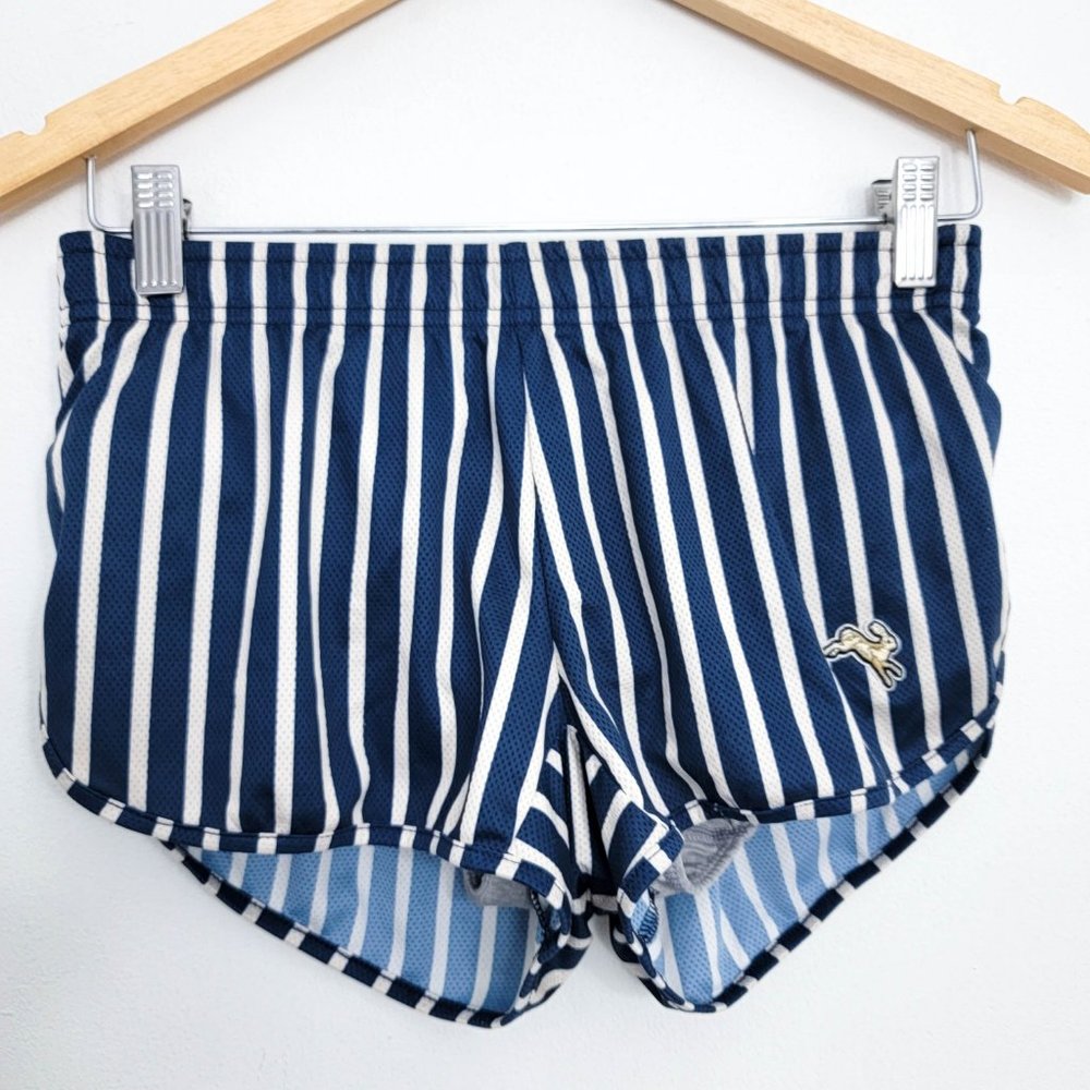 Tracksmith Limited Edition Penn Striped Lined Relay Shorts Small